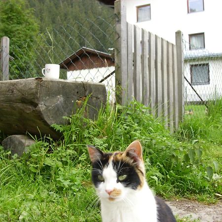 Apartments Seerhof Kaunertal Εξωτερικό φωτογραφία